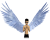 Lightblue1 Angel Wings
