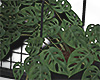 wall hanging