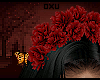 Oxu | Gladiolos Crown