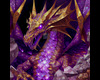 gold/purple dragon beach