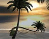 Island Palms Hammock