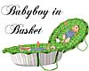 Babyboy in Basket