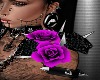 !TX-Purple Roses L