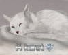 Lux White Sleeping Cat