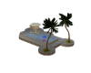 Palm pool