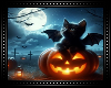 🎃 Halloween Kitten BG