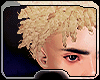 Blonde Twist