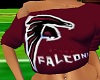 ~Ni~  Falcons Top