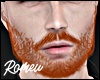 Full Beard Ginger 2023