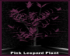 Plant Pink Reflect