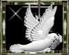Wedding animated dove
