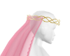 otg veil