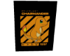 Charmander #4 Poster