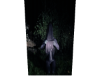 Black Vail