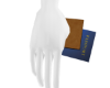 Male Blue Passport