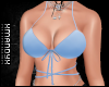 Krista Blue Top