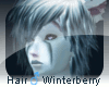 [c4z] M Hair Winterberry