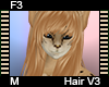 F3 Hair M V3