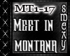 Meet Me In Montana
