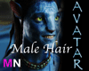 Avatar Hair Male