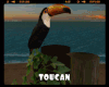 *Toucan