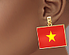 MY FLAG:VIETNAM