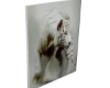 WHITE TIGER