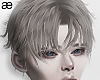 Ã¦ Baco Grey