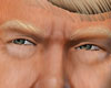 Donald J Trump Eyes