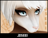 Muzzle Ferret