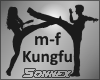 Kungfu actions