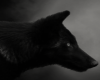 FAWNS WOLF THRONE