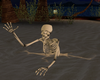 Island Skeleton