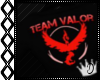 [∂] Team Valor