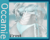 Frost Outfit