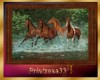 Ali-Horse painting6
