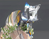 Cristal Cat animated