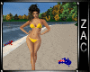 ZH Neon Bikini (FLASH)