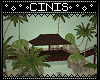 CIN| Tropical Island