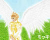 ! Angel Wings #Animated
