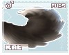 Hoshi - Tail V2