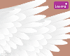 |< Angel Wings