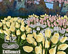 Spring Tulips patch