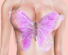𝐼𝑠 ButterflyBridge