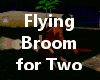Flying Broom for Two