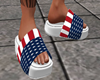 4TH OF JULY SLIDES