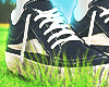 2007 RICK VANS
