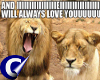Funny Lions I Love You