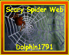 [DOL]Scary Spider w/Web