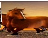 horse photo backdrop
